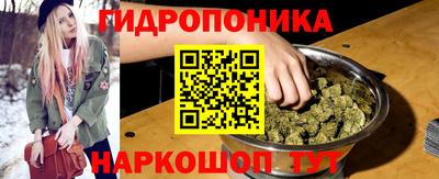 2c-b Кингисепп