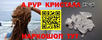 2c-b Кингисепп