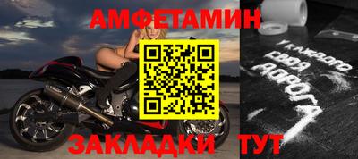2c-b Кингисепп