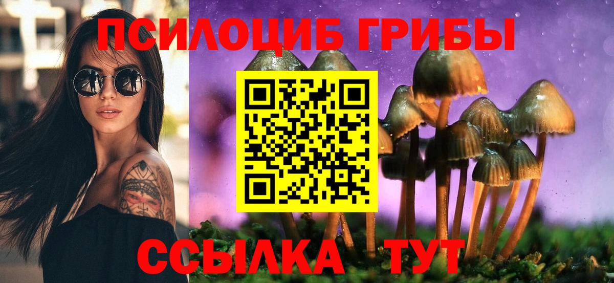 Галлюциногенные грибы MAGIC MUSHROOMS  Вход с VPN  Куйбышев 